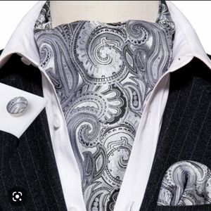 Grey Silver Silk Cravats Set Paisley Mens Ascot Tie Vintage Floral Neck Scarf